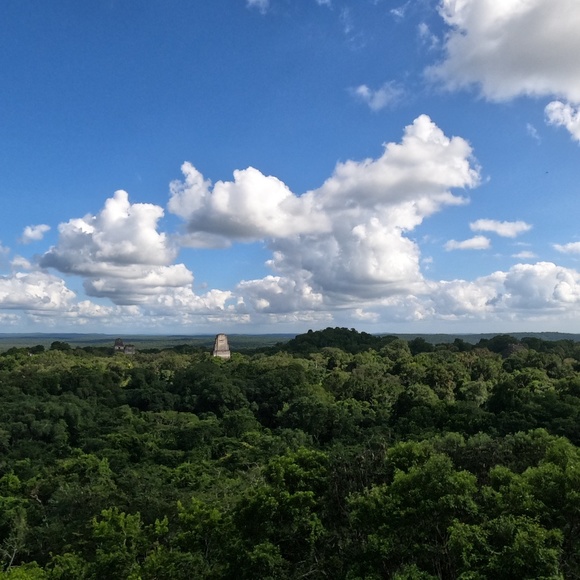 Meet your Posher, Grace - Picture 1 of 1